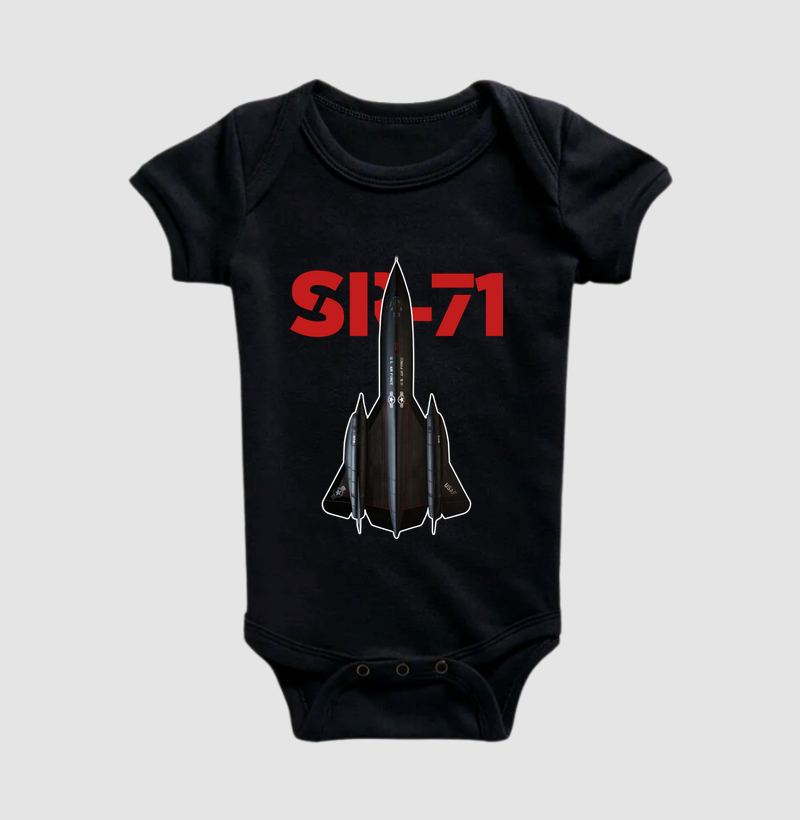 SR-71 Black Bird