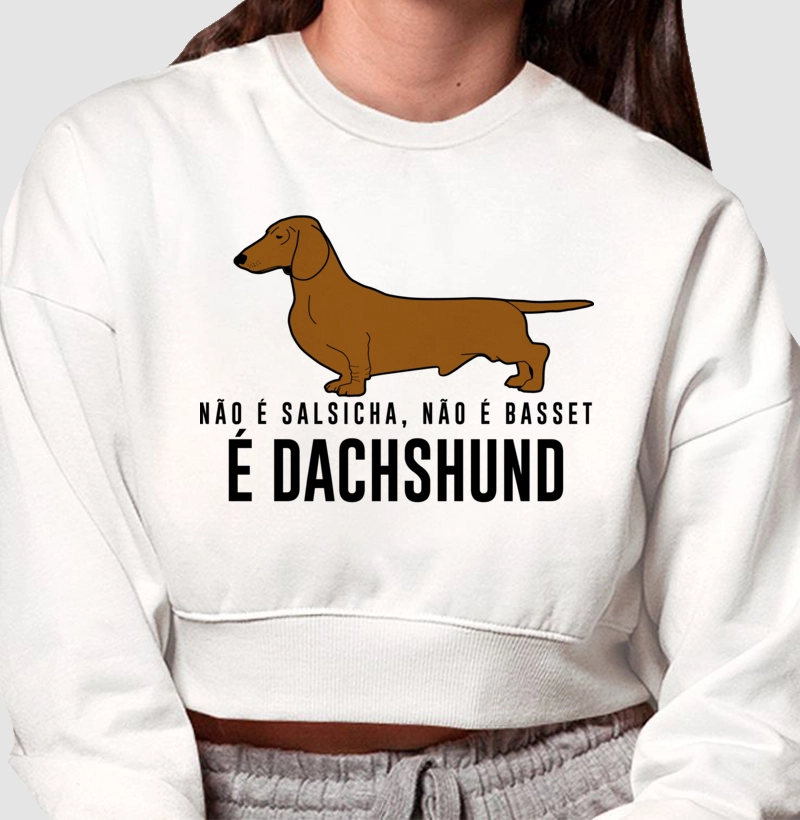 Não é Salsicha...Dachshund