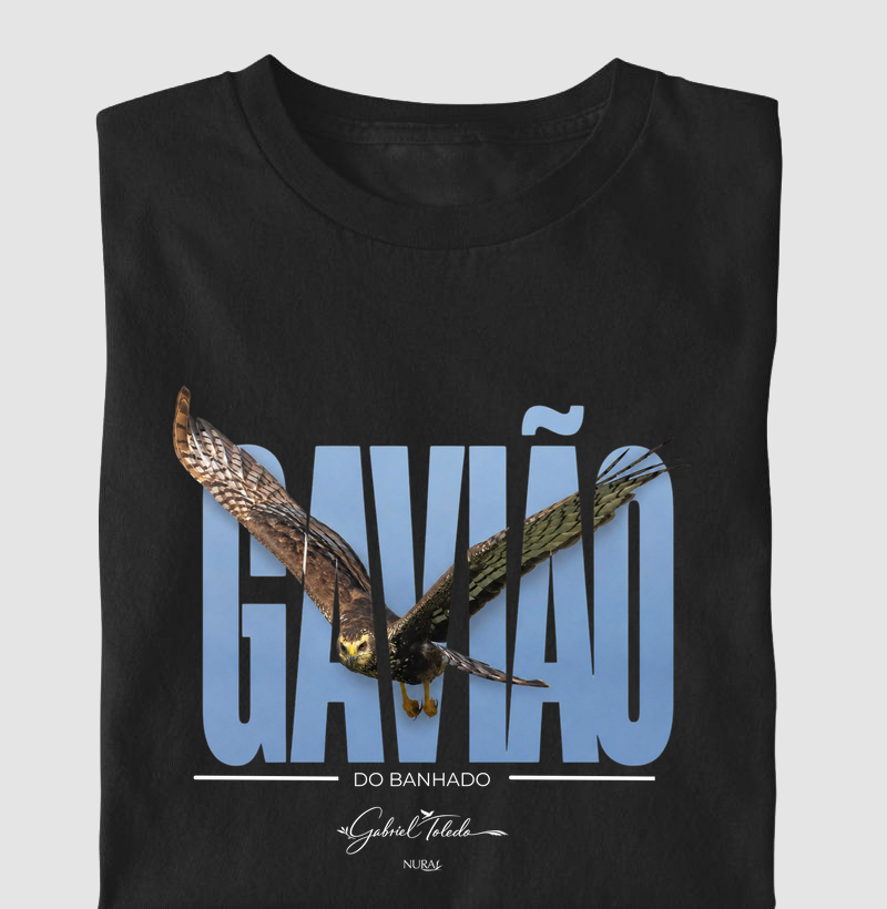 Gavião do Banhado