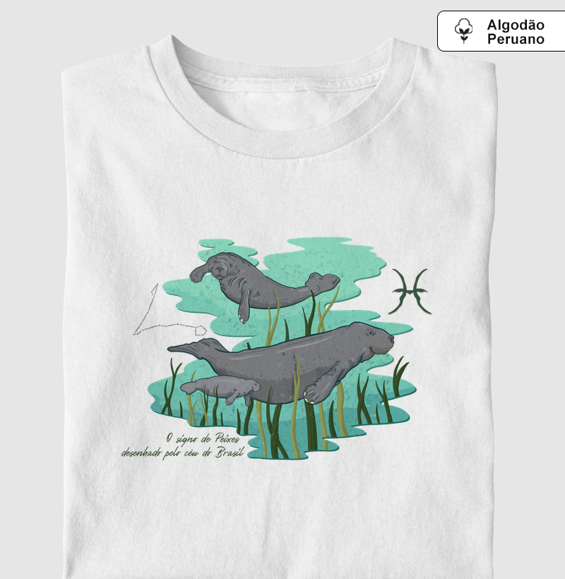 Peixes pelo céu do Brasil