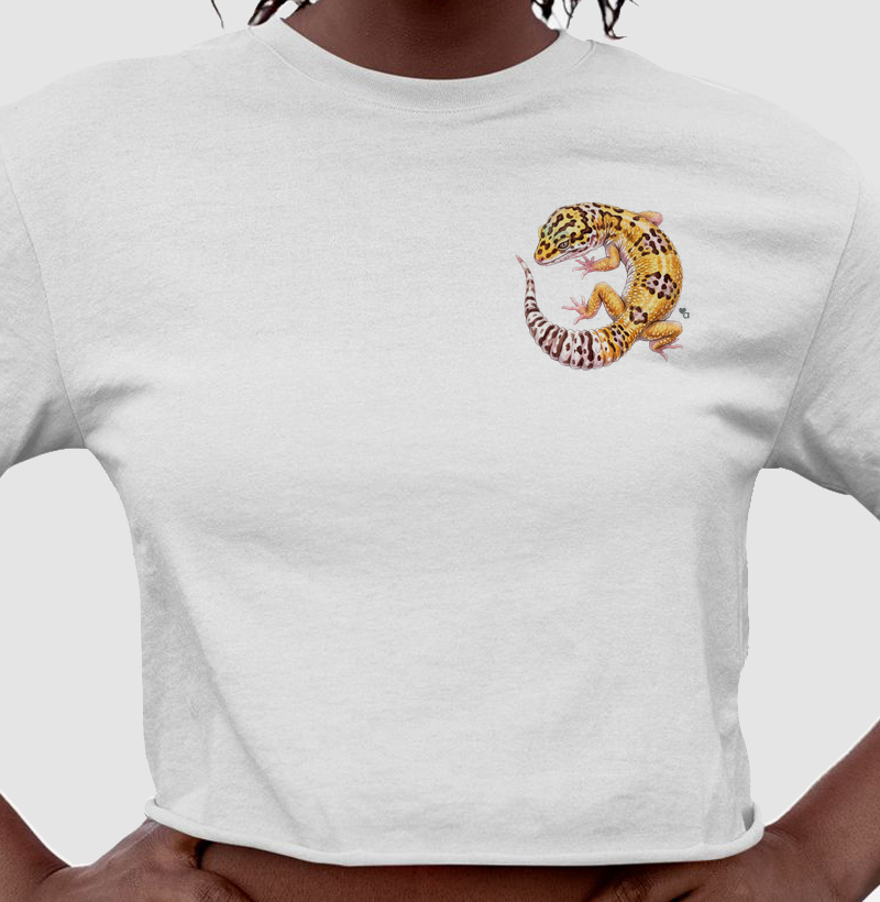 Répteis - Mini - Gecko Leopardo - Cropped - Cropped