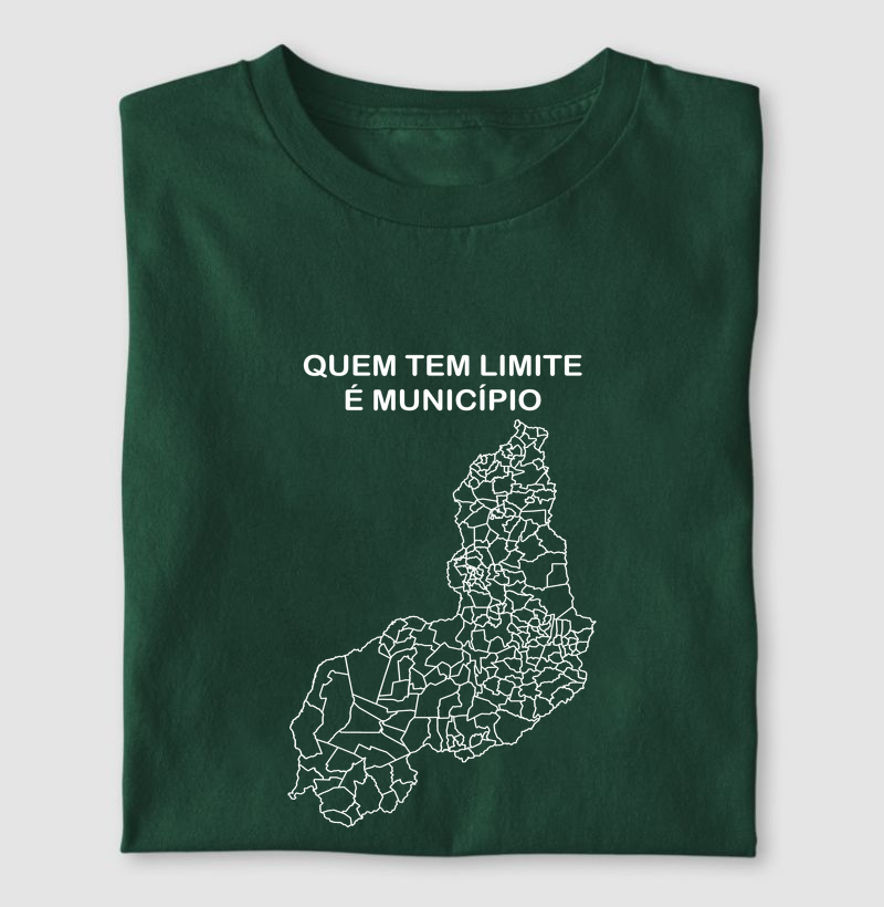 Piauí | Limite Municípios