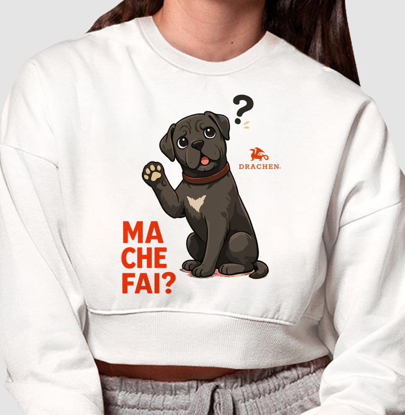 MA CHE FAI? — Il Cane Sorpreso