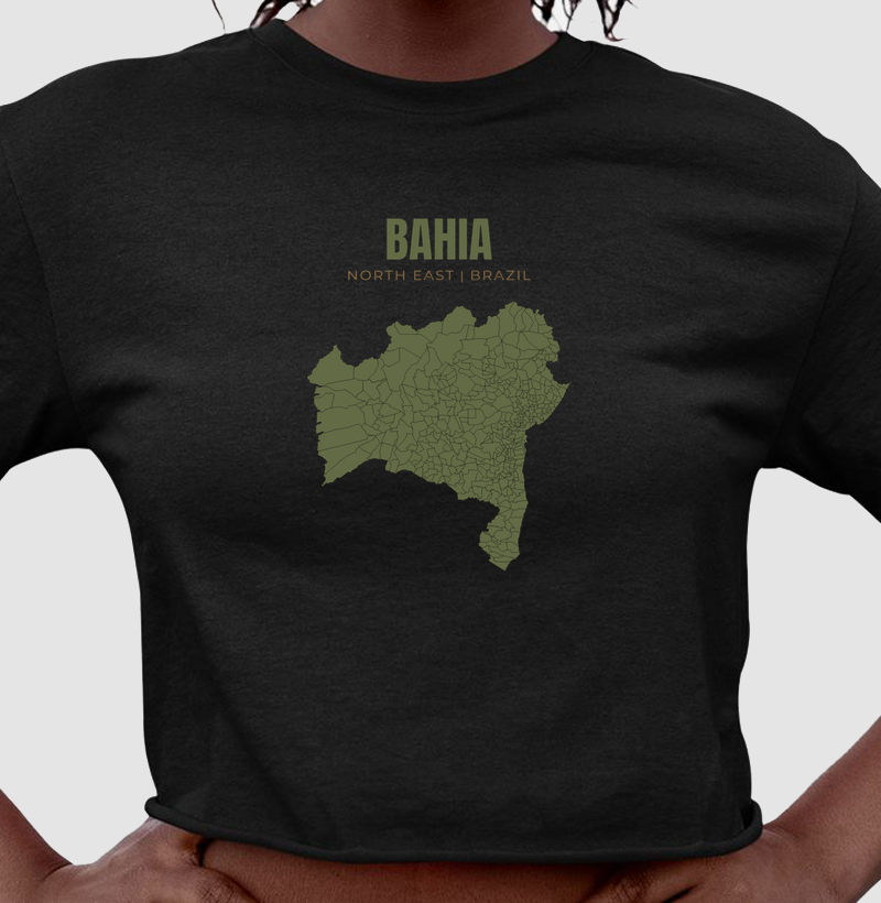 Bahia North East