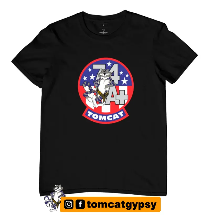 F-14 Tomcat - 74 A+ Plus