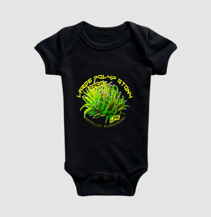 Coral LPS - Torch – Euphyllia glabrescens