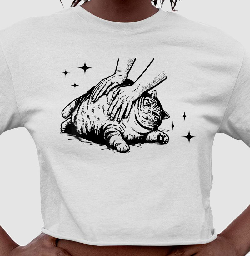 Sessão de Amasso Felino