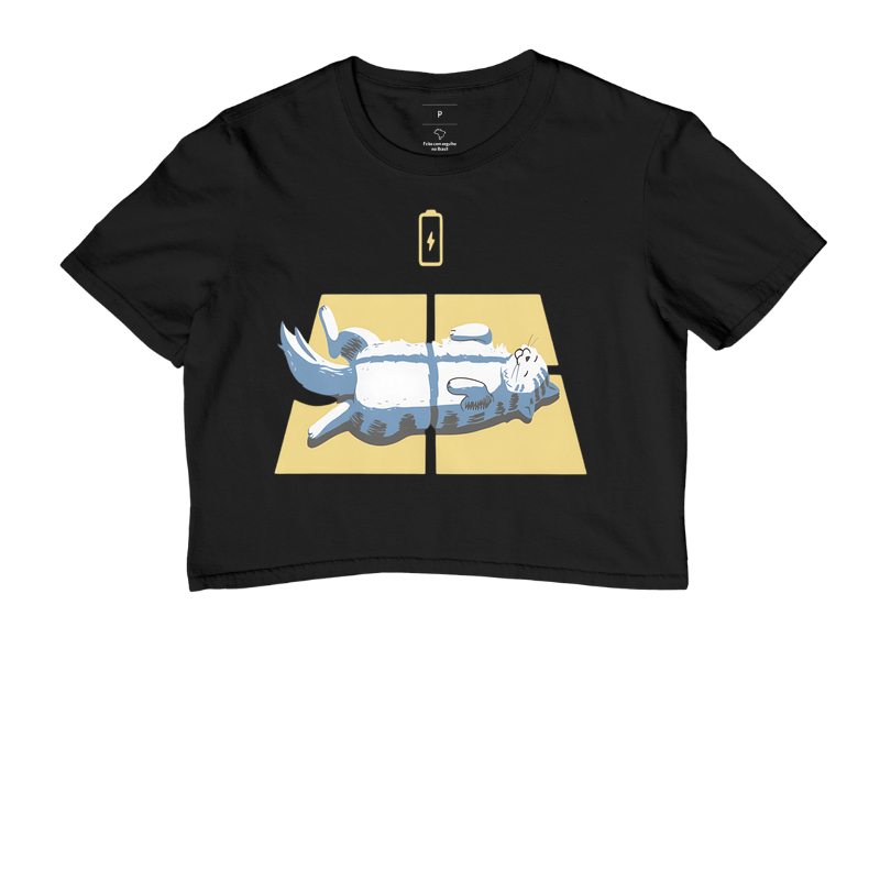 Recarregando a bateria