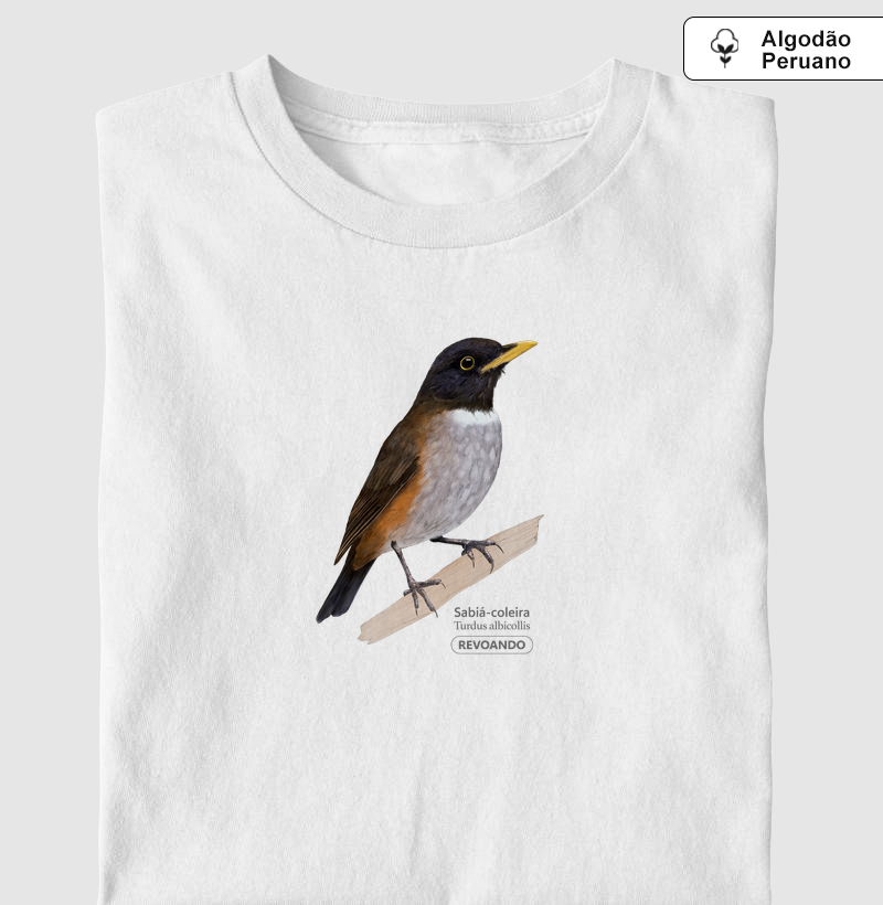 Aves do Brasil - Sabiá-coleira - Algodão Peruano