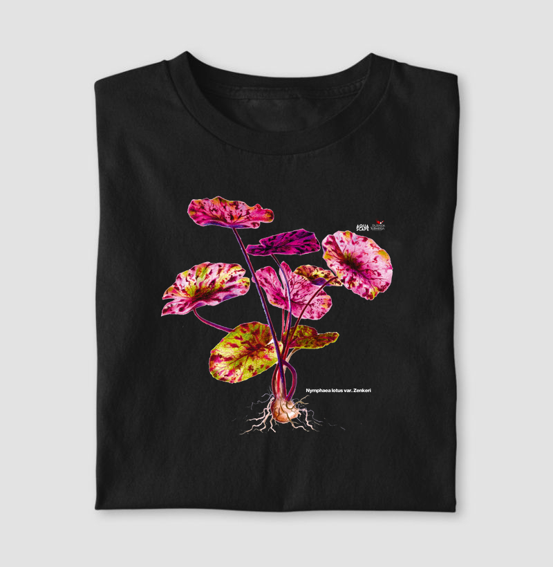 Nymphaea lotus var. Zenkeri - Especial Outubro Rosa - @FAZENDASUBMERSA