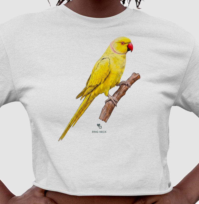 Aves - Ring Neck Lutino - Cropped