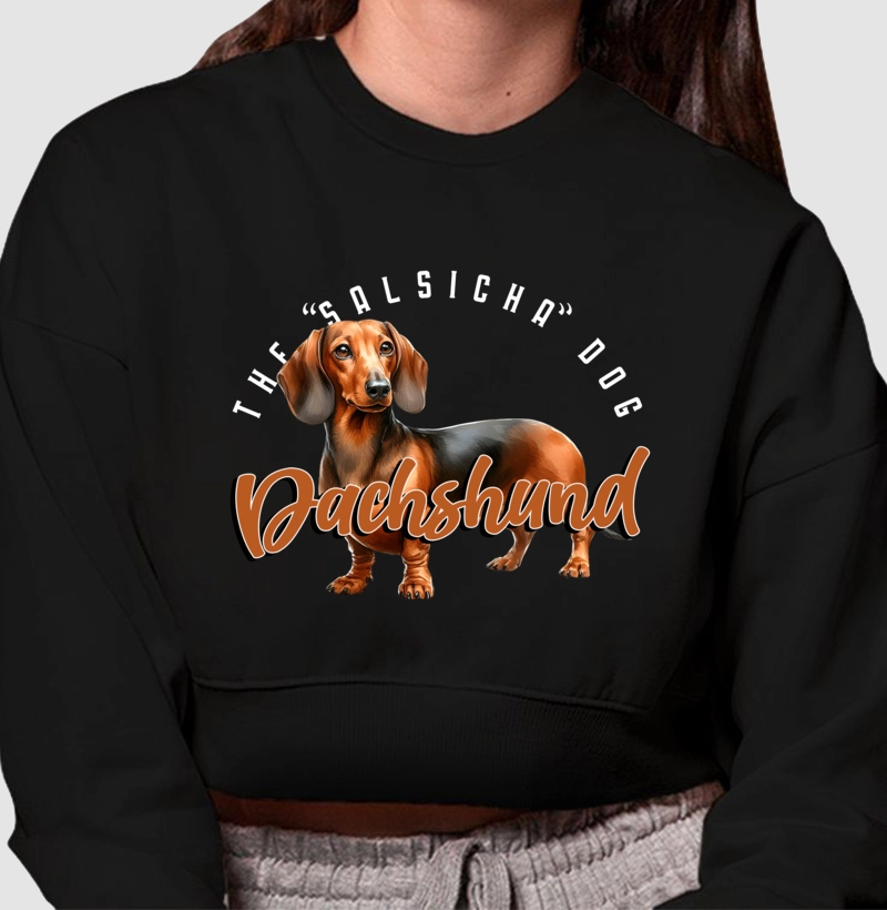 Dachshund! The Salsicha Dog 