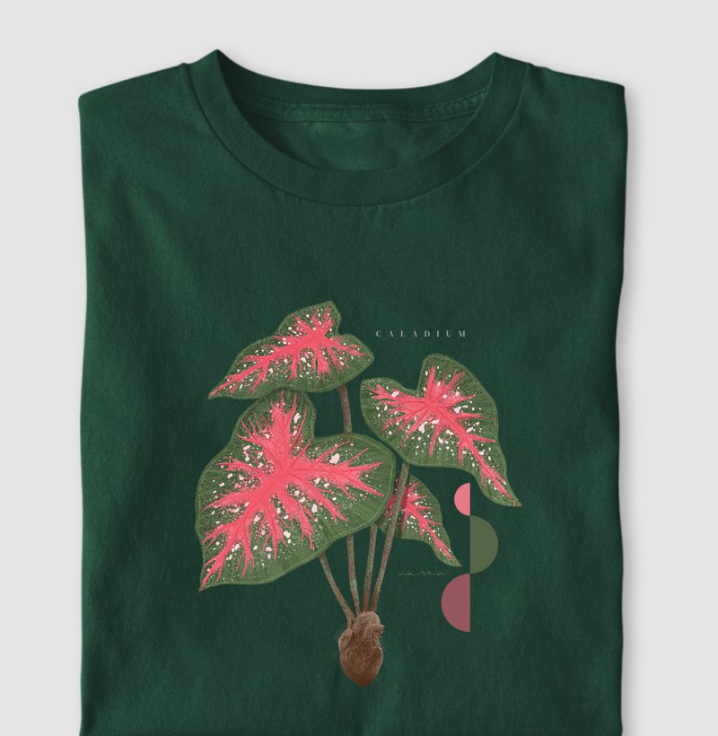 Caladium - Ilustropical