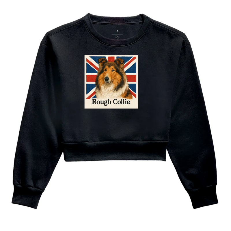 Rough Collie 02