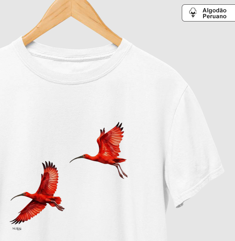 Sinfonia dos Guarás