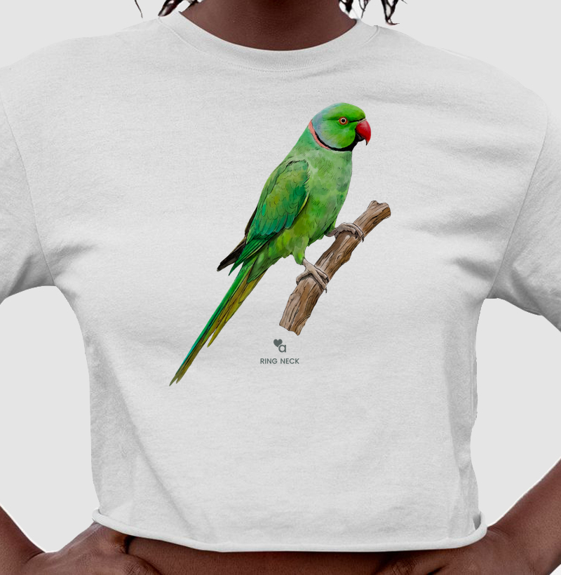 Aves - Ring Neck Verde - Cropped