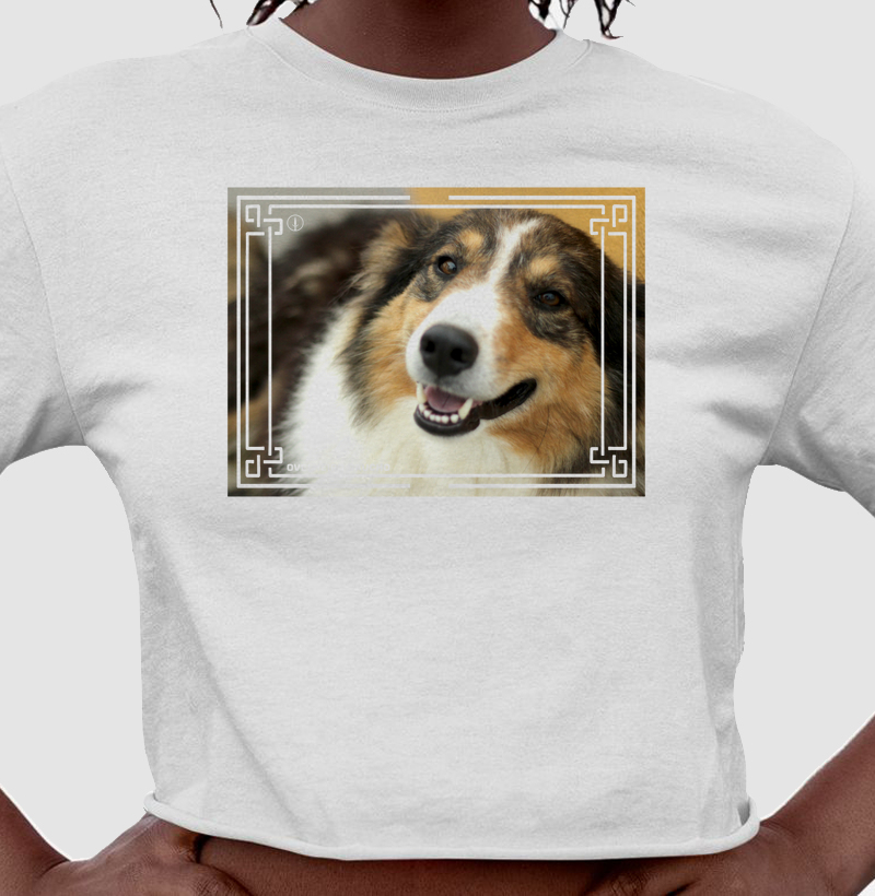 Ovelheiro Gaúcho - Color 4