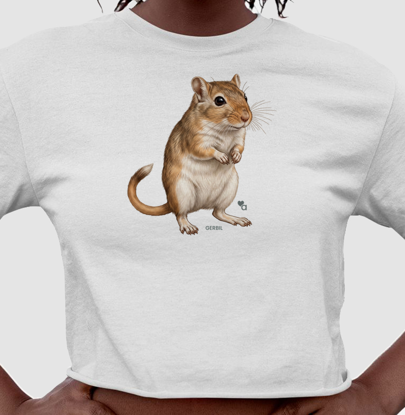Roedores - Gerbil - Cropped