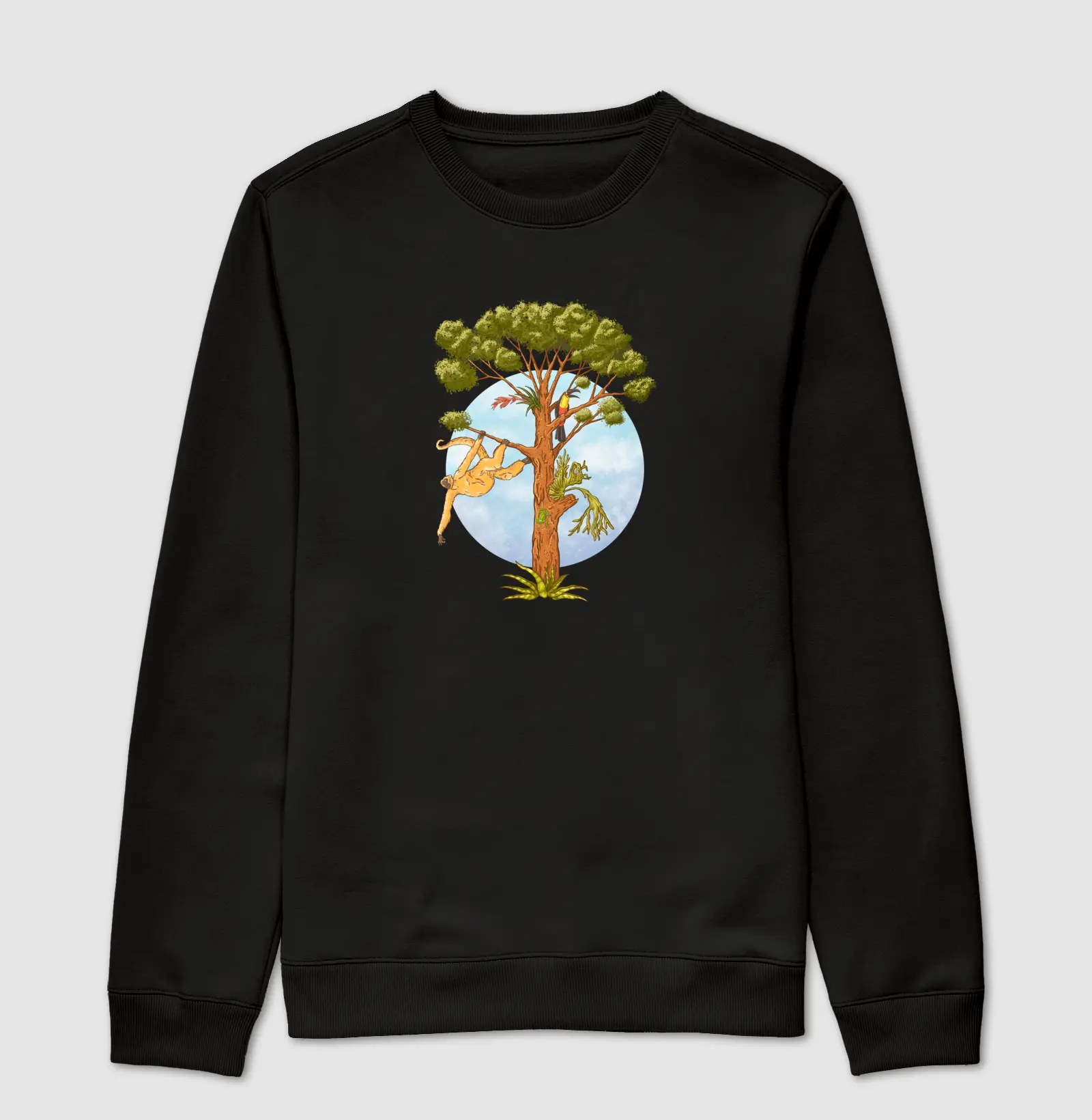 Bioma Mata Atlântica