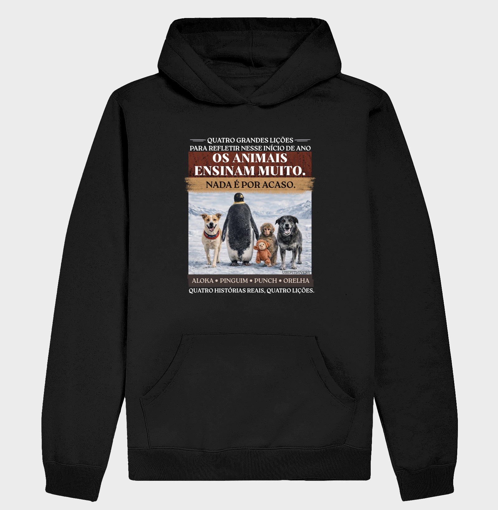 QUATRO GRANDES LIÇÕES PARA REFLETIR NESSE INÍCIO DE ANO. OS ANIMAIS ENSINAM MUITO. NADA É POR ACASO. ALOKA, PINGUIM, PUNCH E ORELHA. QUATRO HISTÓRIAS REAIS, QUATRO LIÇÕES.