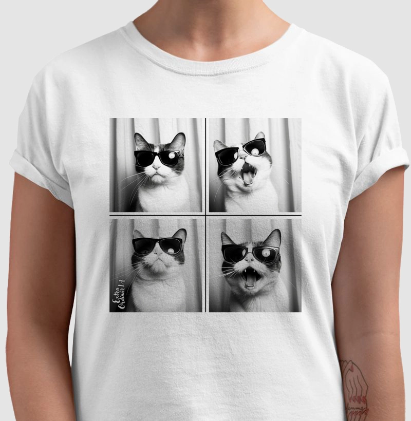 Gato Tricolor de Óculos Ensaio Fotografico