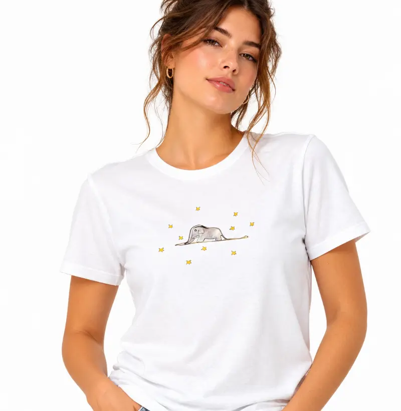 Camiseta Pequeno Príncipe - Camiseta Algodão Peruano