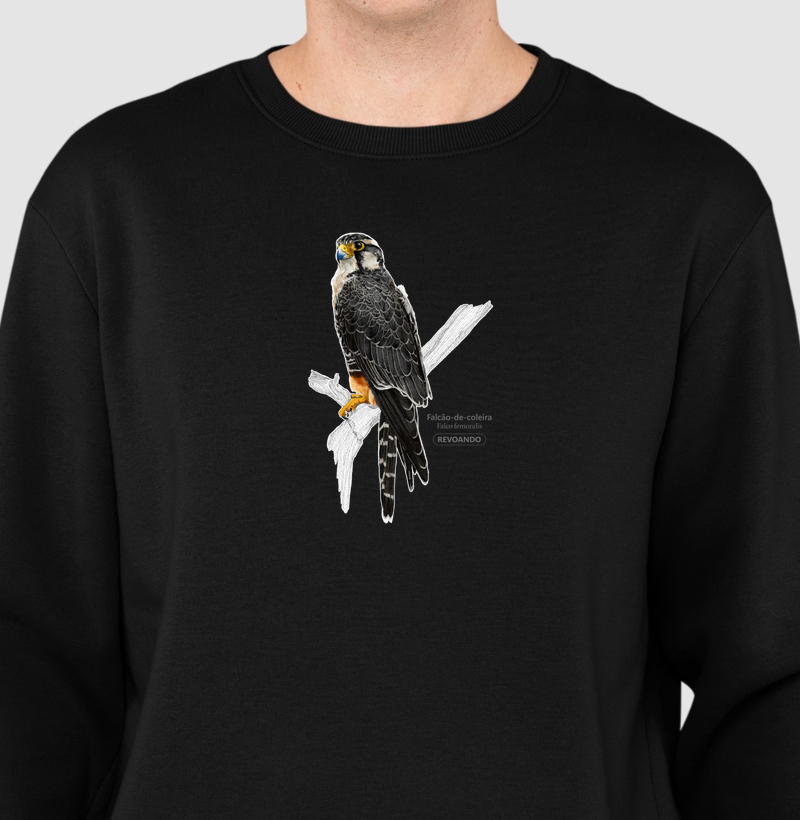 Aves do Brasil - Falcão de Coleira - Moletom