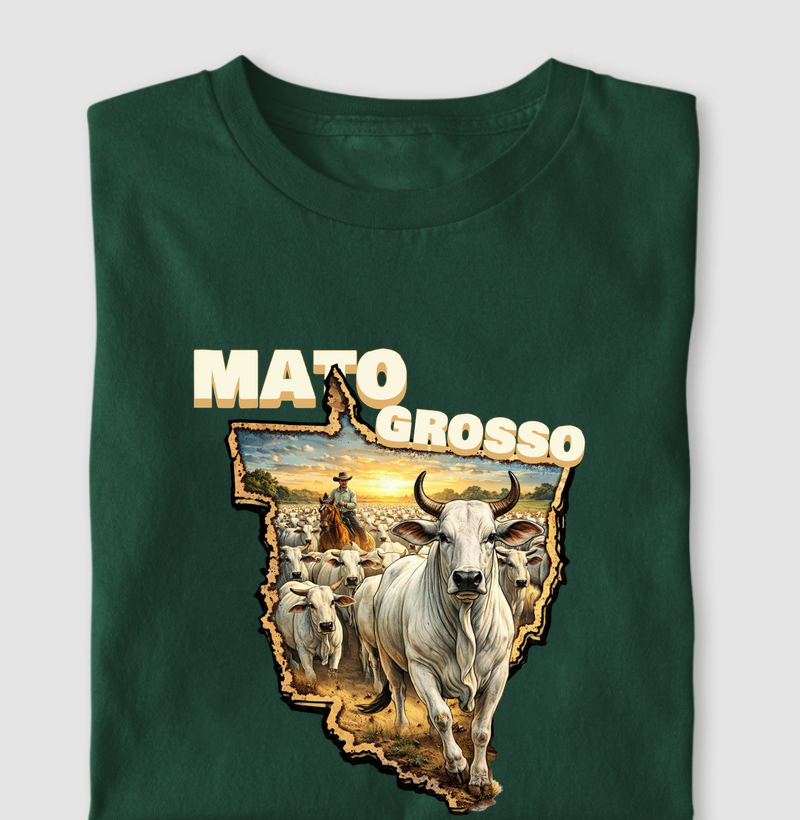 Mato Grosso, pecuária_2