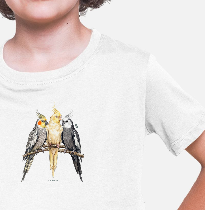 Aves - Calopsitas - Infantil