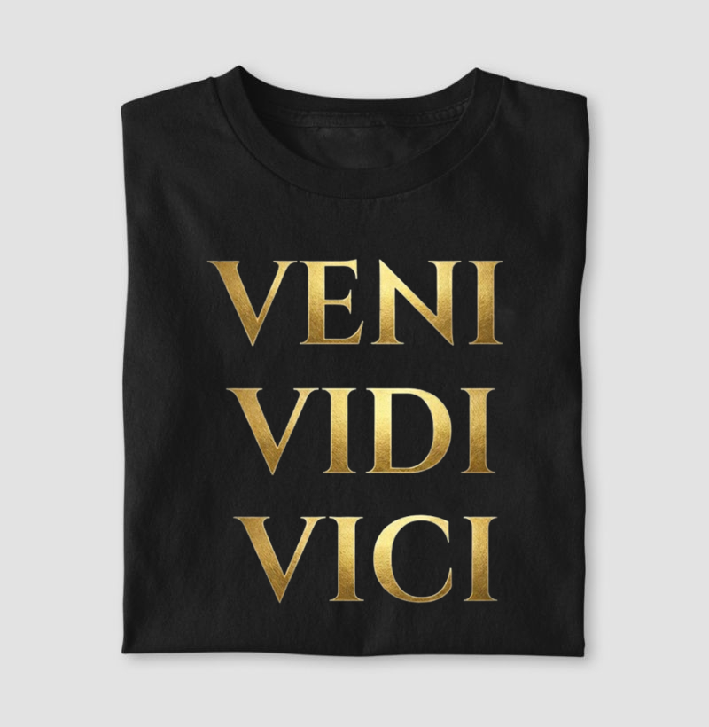 VENI VIDI VICI