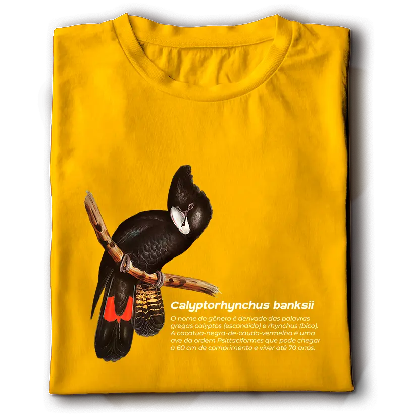 Calyptorhynchus banksii