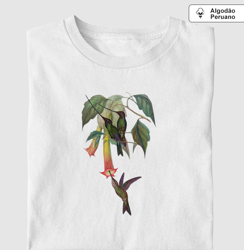 Beija-flor-bico-de-espada