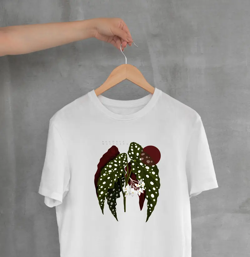 Begônia Maculata - Ilustropical