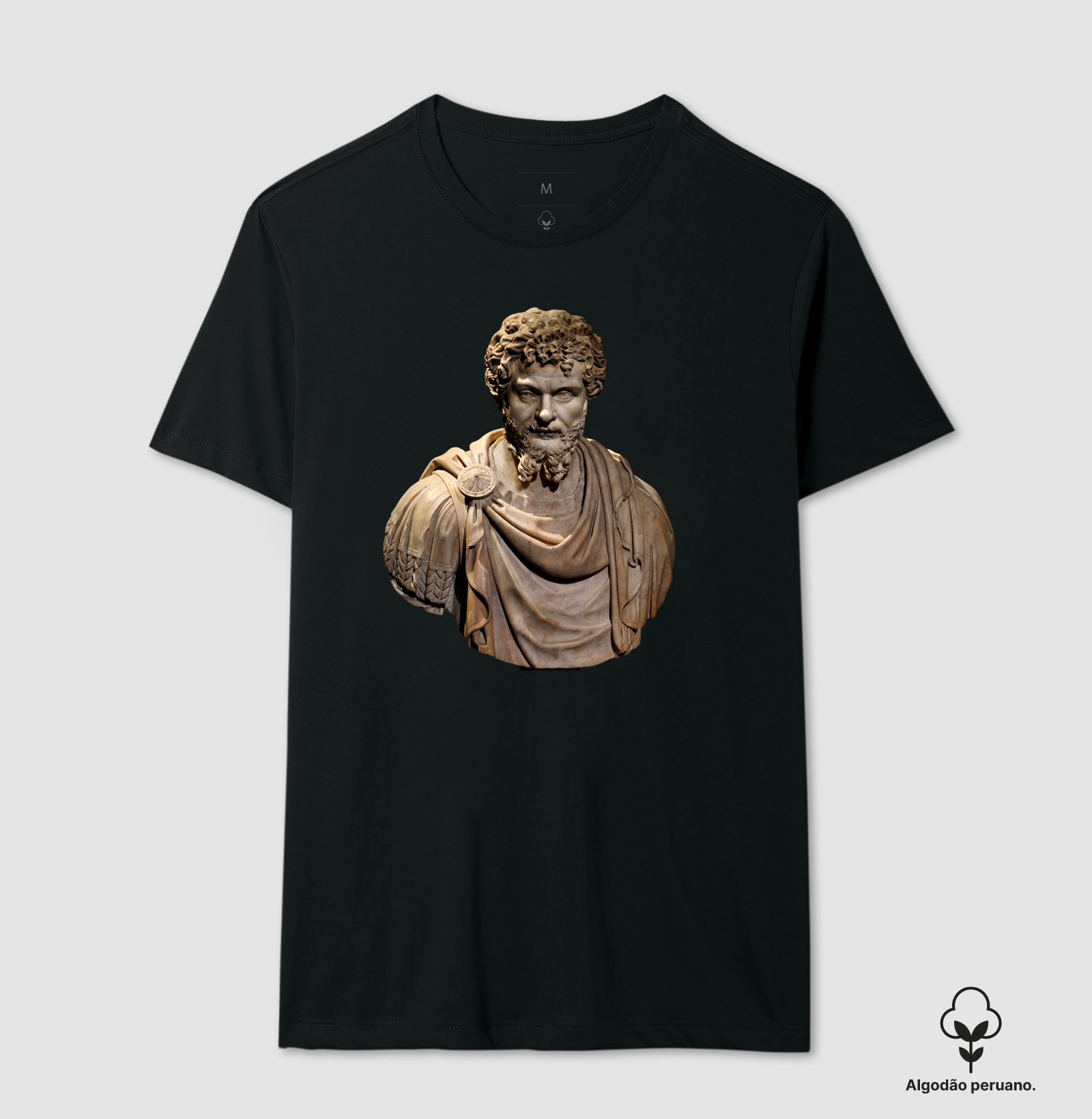 SEPTIMIUS SEVERUS — Imperator - II