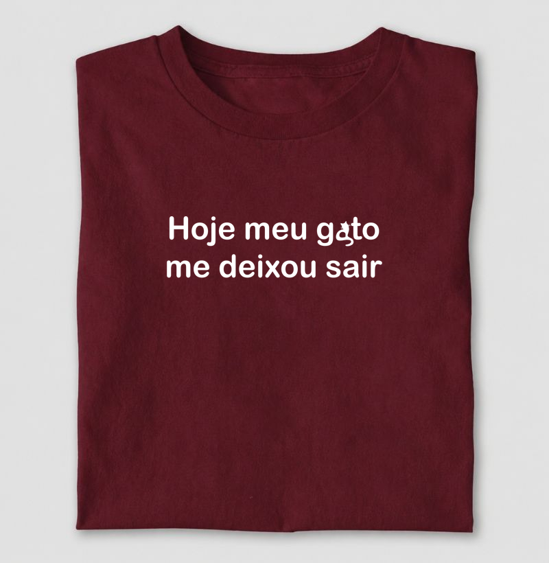 Hoje meu gato me deixou sair
