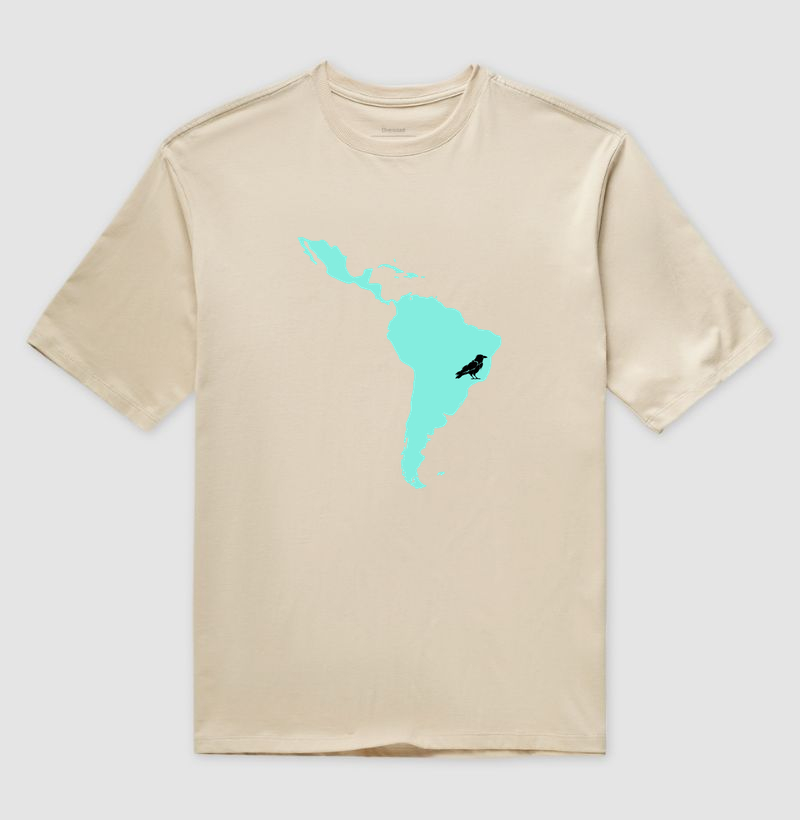 America latina & co.
