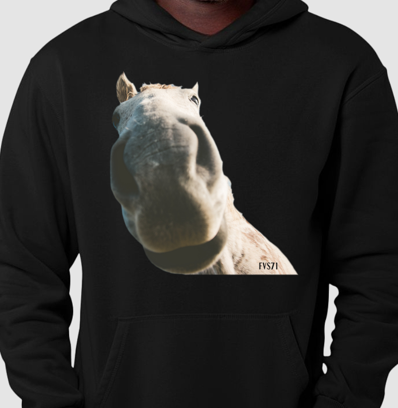 Selfie Cavalo 