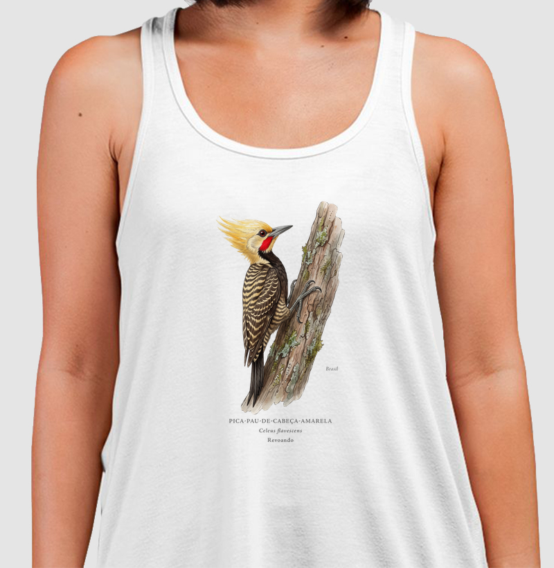 Naturalistas - Pica-pau-de-cabeça-amarela - Regata