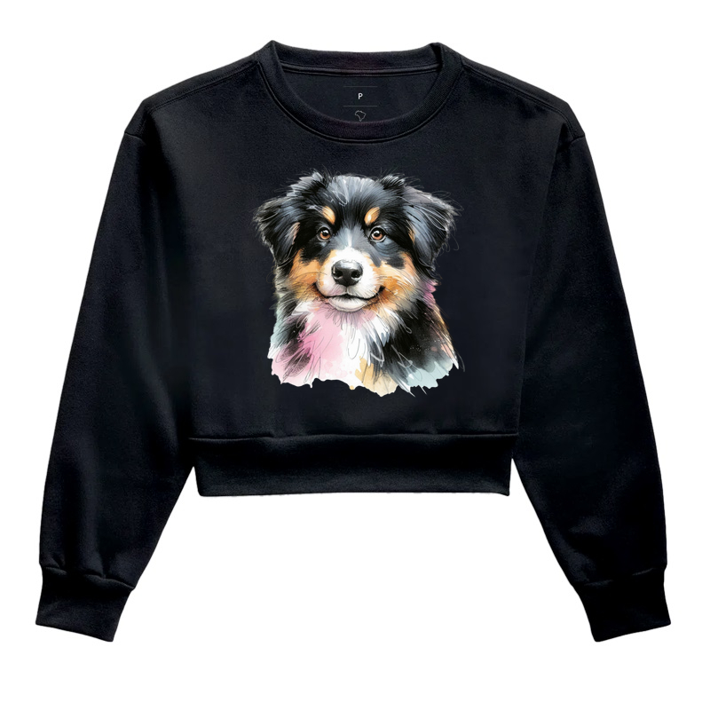 Australian Shepherd Black Tricolor Puppy