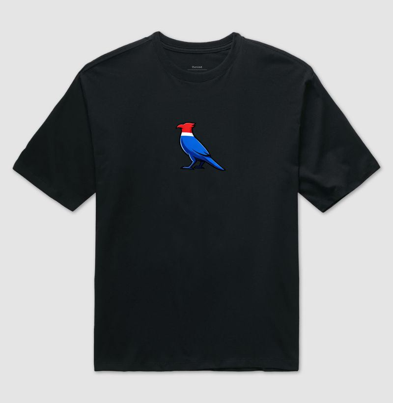 Camisa 0