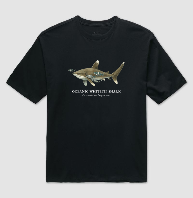 Oceanic Whitetip Shark - Camiseta Oversized