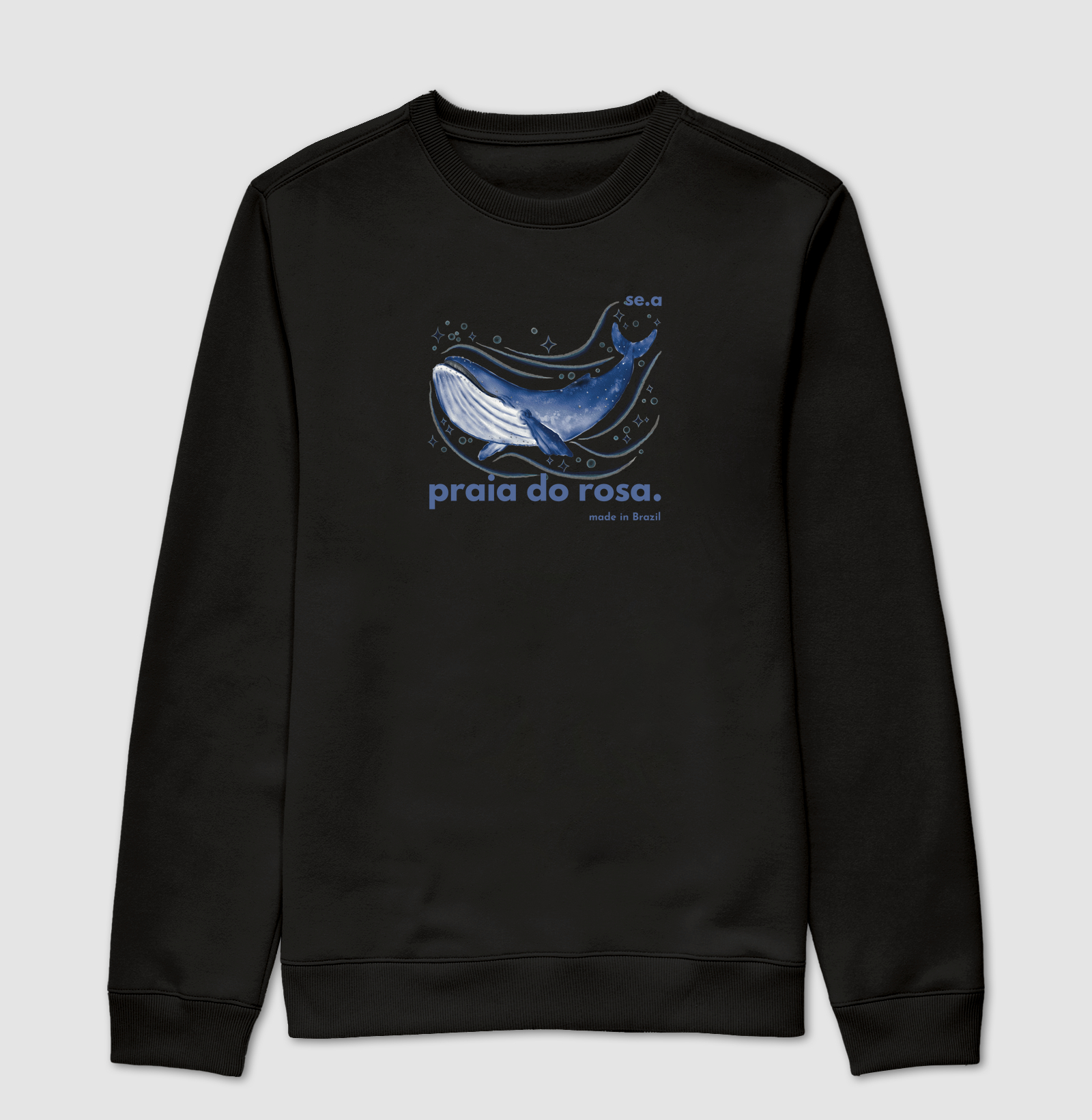 Praia do Rosa Baleias