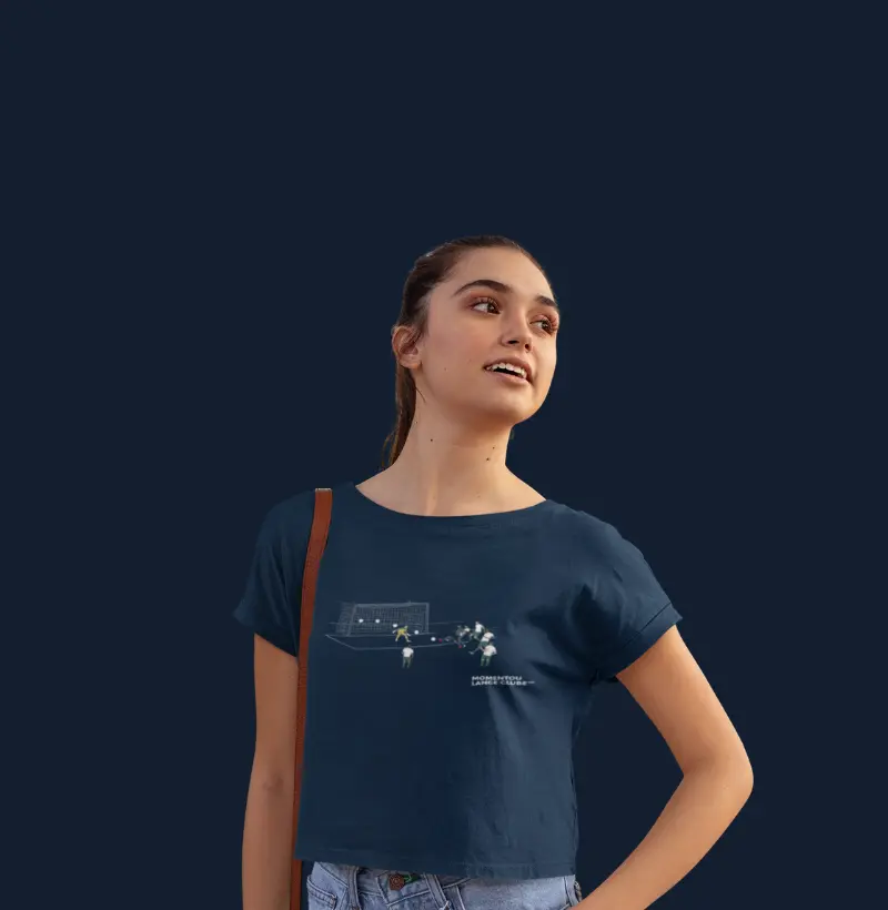 (REM)- Cropped Gol da Virada Para o Acesso