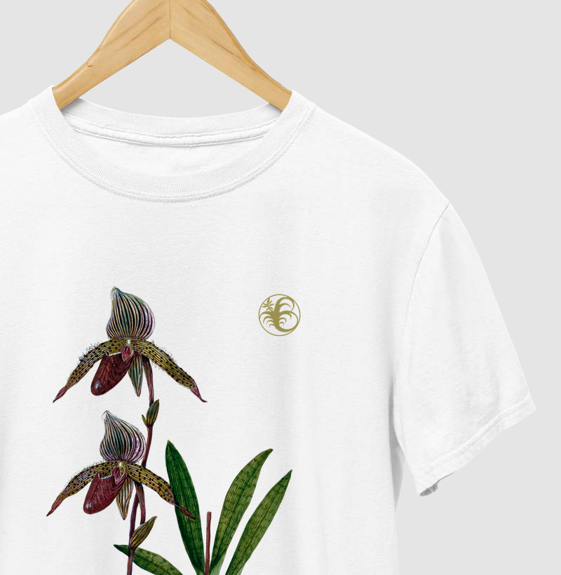 Paphiopedilum I