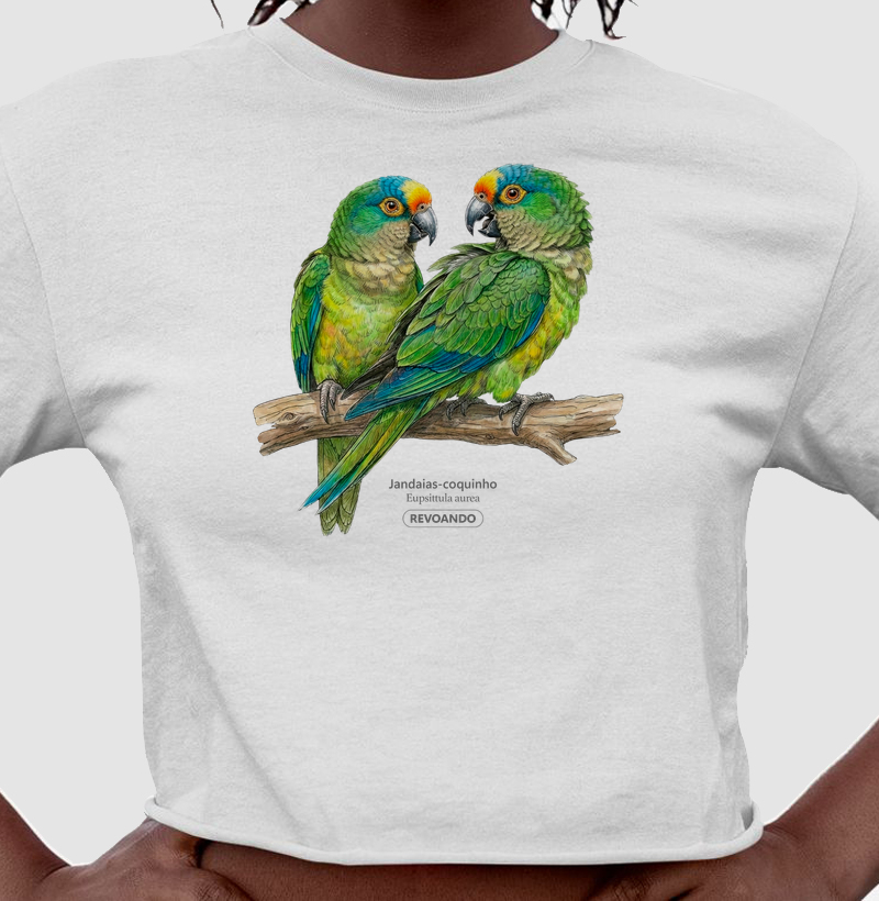 Traços Alados - Jandaia-coquinho