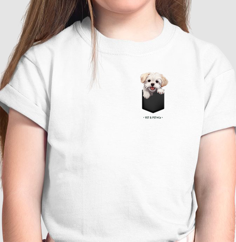 Cachorro de bolso (Maltês)