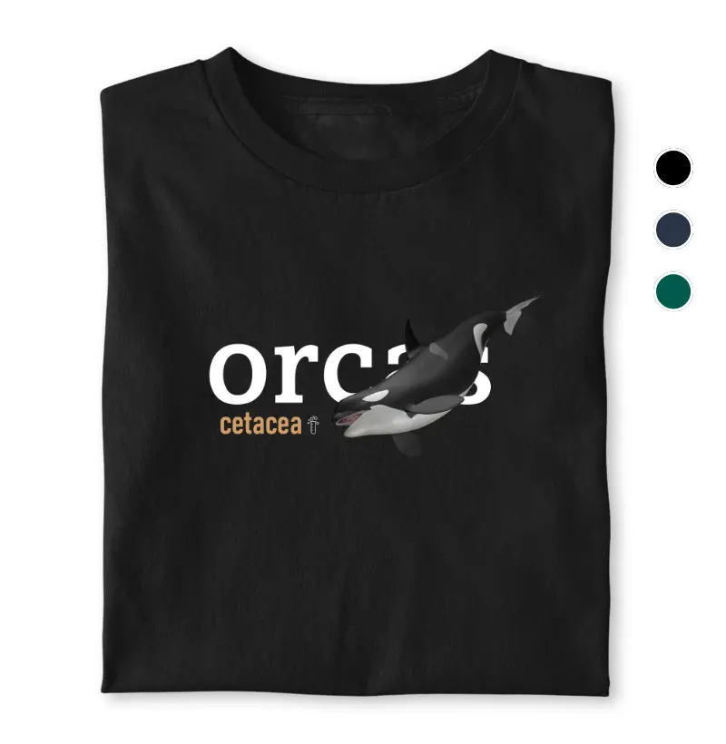Orcas