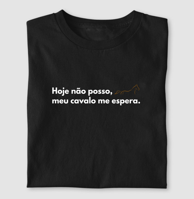 Não posso meu cavalo me espera 