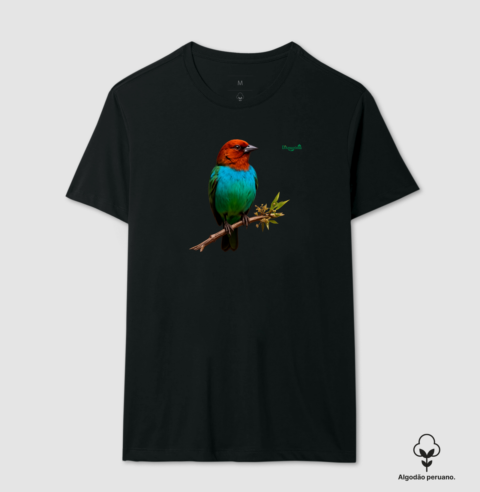 Saíra-de-Cabeça-Castanha