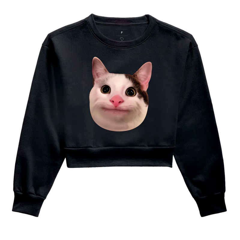 Gato Meme Cara Engraçada